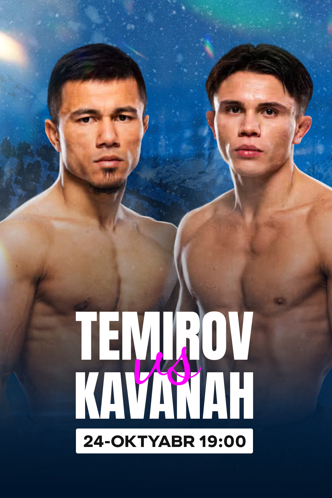 UFC 333